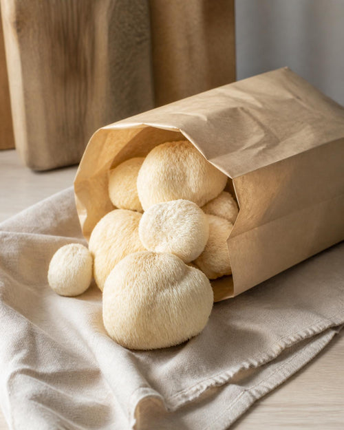 Fresh lion's mane mushrooms in a plain kraft paper bag