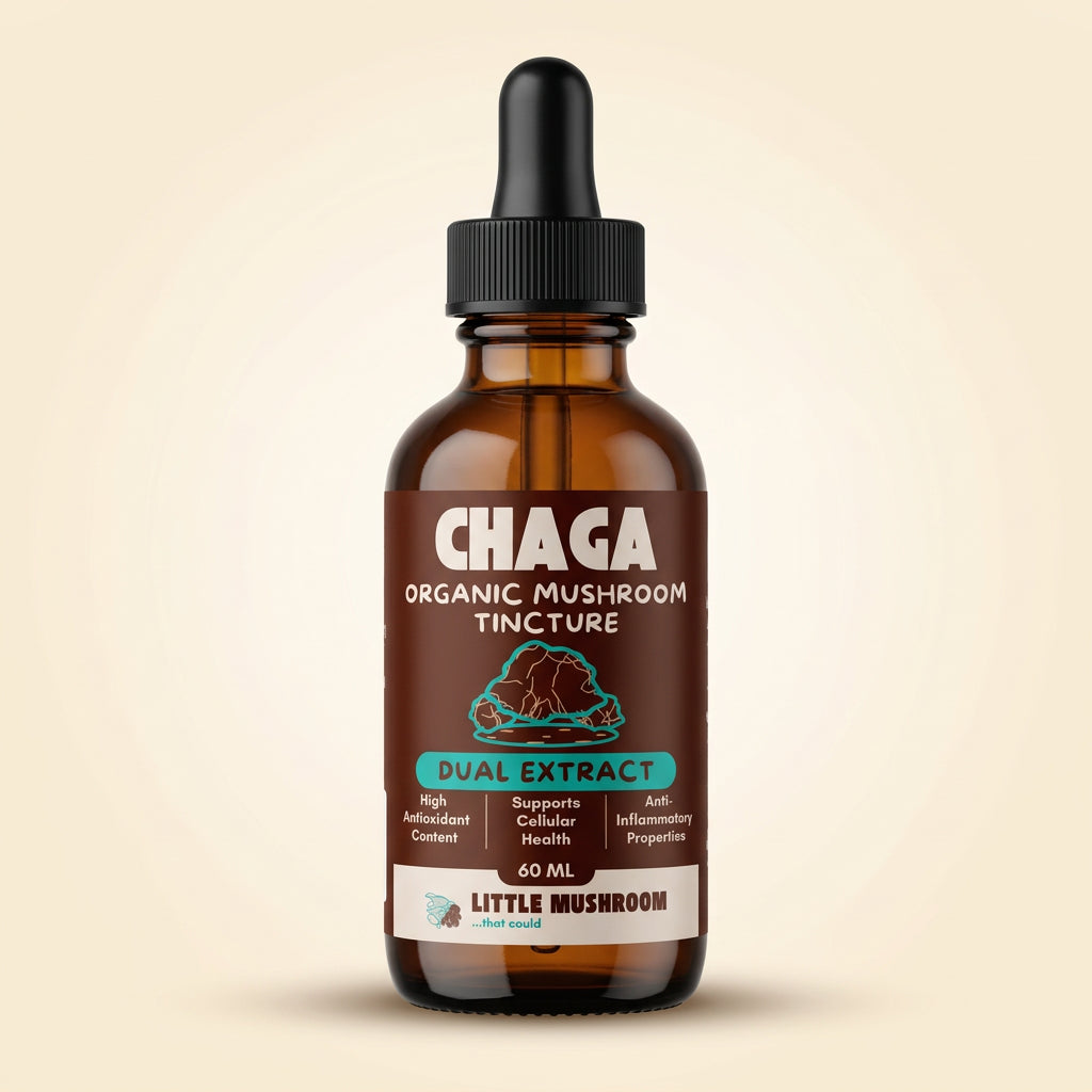 Chaga organic mushroom tincture 60 ml bottle