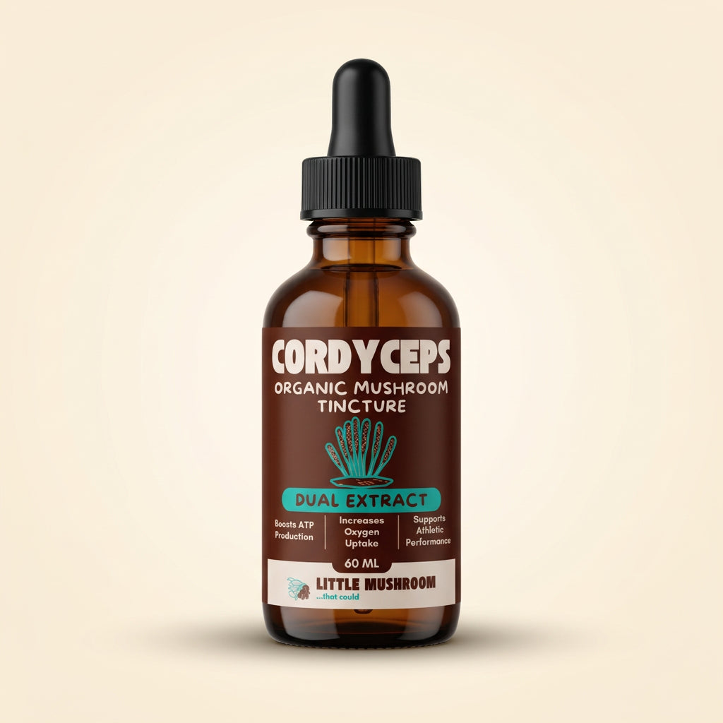 Cordyceps organic mushroom tincture 60 ml bottle